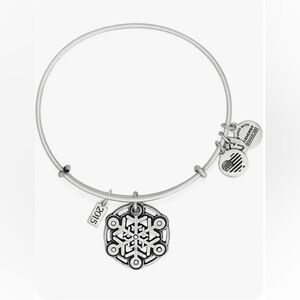 Alex and Ani 2015 Snowflake Bangle Bracelet Rafaelian Silver